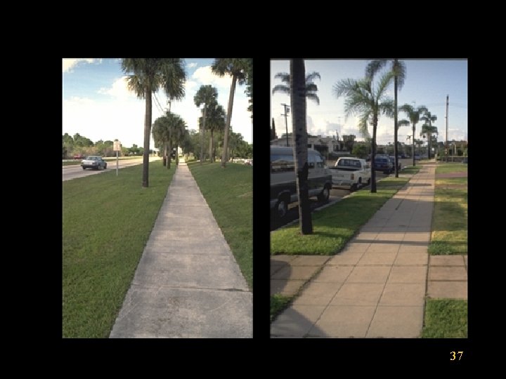 37 