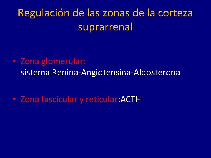 Regulación de las zonas de la corteza suprarrenal • Zona glomerular: sistema Renina-Angiotensina-Aldosterona •