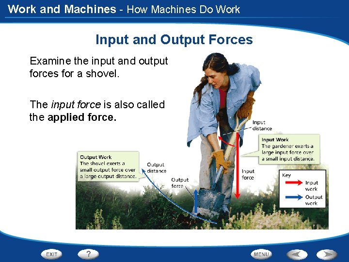 Work and Machines - How Machines Do Work Input and Output Forces Examine the