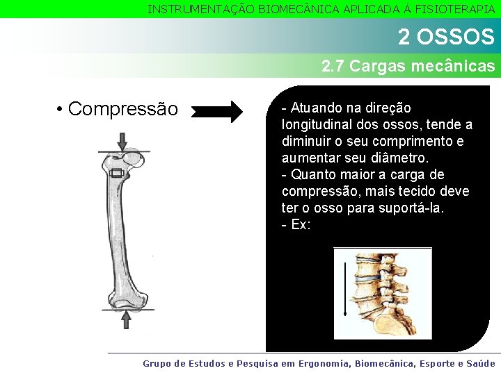 INSTRUMENTAÇÃO BIOMEC NICA APLICADA À FISIOTERAPIA 2 OSSOS 2. 7 Cargas mecânicas • Compressão