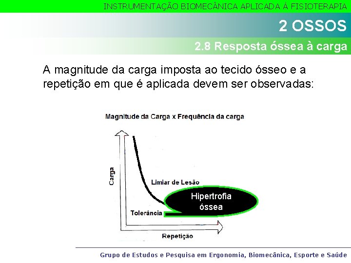INSTRUMENTAÇÃO BIOMEC NICA APLICADA À FISIOTERAPIA 2 OSSOS 2. 8 Resposta óssea à carga