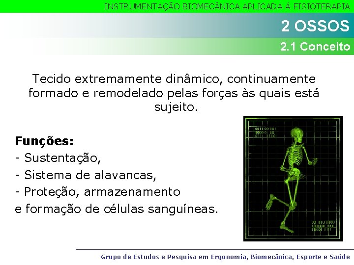 INSTRUMENTAÇÃO BIOMEC NICA APLICADA À FISIOTERAPIA 2 OSSOS 2. 1 Conceito Tecido extremamente dinâmico,