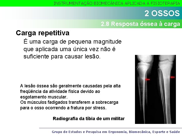 INSTRUMENTAÇÃO BIOMEC NICA APLICADA À FISIOTERAPIA 2 OSSOS 2. 8 Resposta óssea à carga