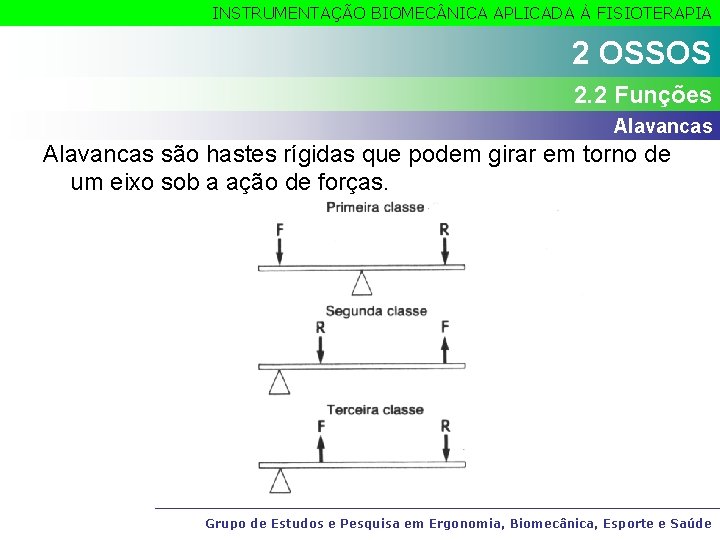 INSTRUMENTAÇÃO BIOMEC NICA APLICADA À FISIOTERAPIA 2 OSSOS 2. 2 Funções Alavancas são hastes