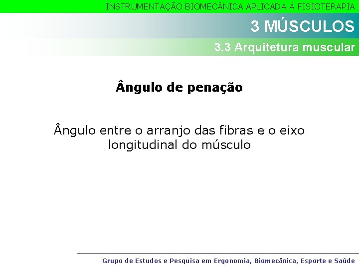 INSTRUMENTAÇÃO BIOMEC NICA APLICADA À FISIOTERAPIA 3 MÚSCULOS 3. 3 Arquitetura muscular ngulo de