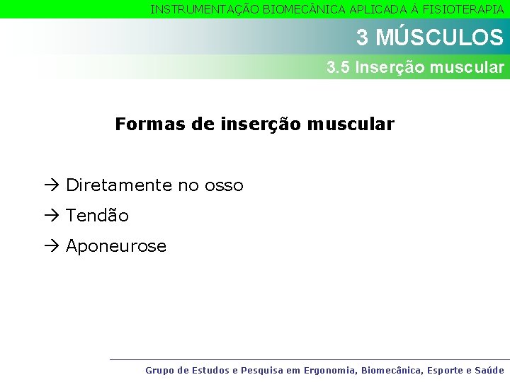 INSTRUMENTAÇÃO BIOMEC NICA APLICADA À FISIOTERAPIA 3 MÚSCULOS 3. 5 Inserção muscular Formas de