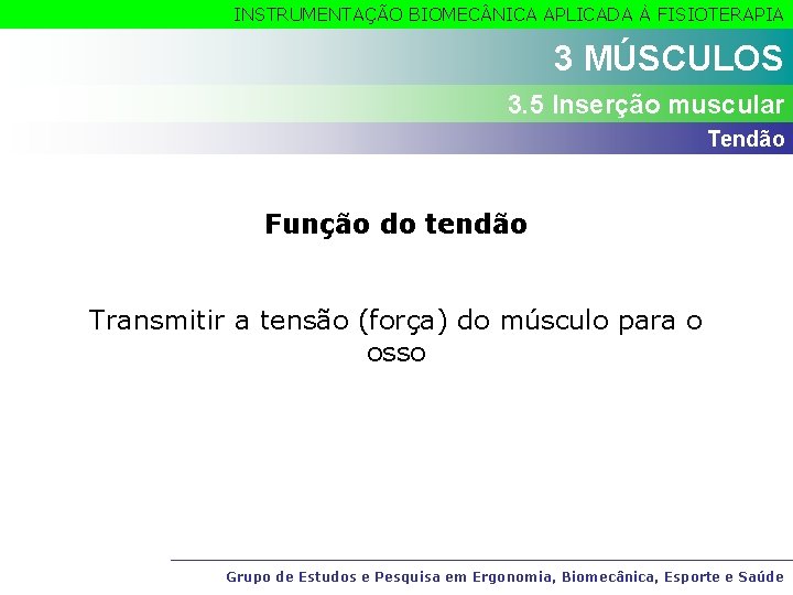 INSTRUMENTAÇÃO BIOMEC NICA APLICADA À FISIOTERAPIA 3 MÚSCULOS 3. 5 Inserção muscular Tendão Função