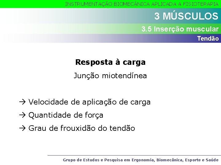 INSTRUMENTAÇÃO BIOMEC NICA APLICADA À FISIOTERAPIA 3 MÚSCULOS 3. 5 Inserção muscular Tendão Resposta