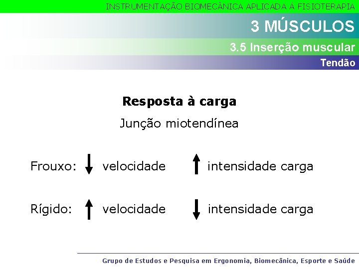 INSTRUMENTAÇÃO BIOMEC NICA APLICADA À FISIOTERAPIA 3 MÚSCULOS 3. 5 Inserção muscular Tendão Resposta