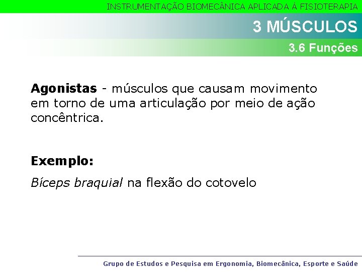 INSTRUMENTAÇÃO BIOMEC NICA APLICADA À FISIOTERAPIA 3 MÚSCULOS 3. 6 Funções Agonistas - músculos