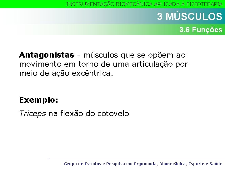 INSTRUMENTAÇÃO BIOMEC NICA APLICADA À FISIOTERAPIA 3 MÚSCULOS 3. 6 Funções Antagonistas - músculos