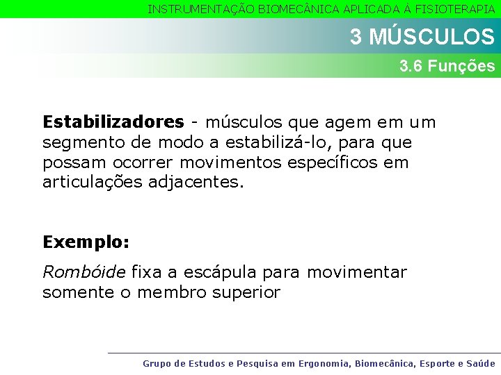 INSTRUMENTAÇÃO BIOMEC NICA APLICADA À FISIOTERAPIA 3 MÚSCULOS 3. 6 Funções Estabilizadores - músculos