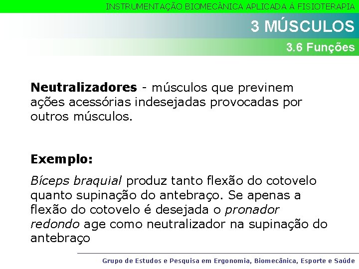 INSTRUMENTAÇÃO BIOMEC NICA APLICADA À FISIOTERAPIA 3 MÚSCULOS 3. 6 Funções Neutralizadores - músculos