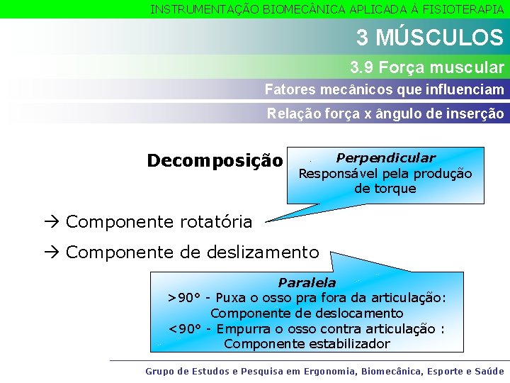 INSTRUMENTAÇÃO BIOMEC NICA APLICADA À FISIOTERAPIA 3 MÚSCULOS 3. 9 Força muscular Fatores mecânicos