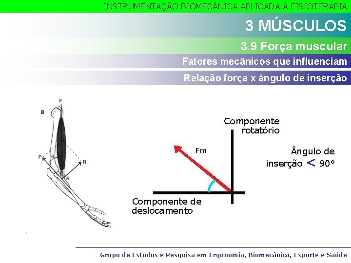 INSTRUMENTAÇÃO BIOMEC NICA APLICADA À FISIOTERAPIA 3 MÚSCULOS 3. 9 Força muscular Fatores mecânicos