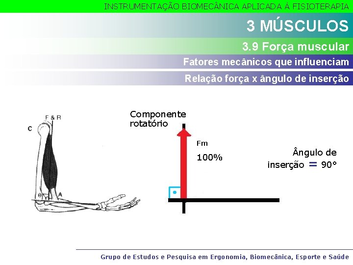 INSTRUMENTAÇÃO BIOMEC NICA APLICADA À FISIOTERAPIA 3 MÚSCULOS 3. 9 Força muscular Fatores mecânicos