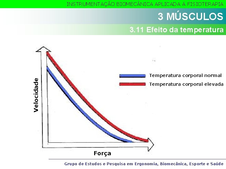 INSTRUMENTAÇÃO BIOMEC NICA APLICADA À FISIOTERAPIA 3 MÚSCULOS 3. 11 Efeito da temperatura Velocidade