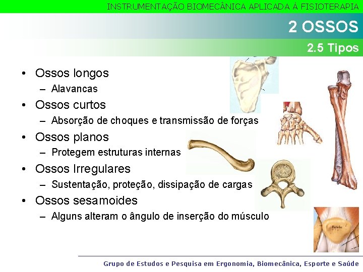 INSTRUMENTAÇÃO BIOMEC NICA APLICADA À FISIOTERAPIA 2 OSSOS 2. 5 Tipos • Ossos longos