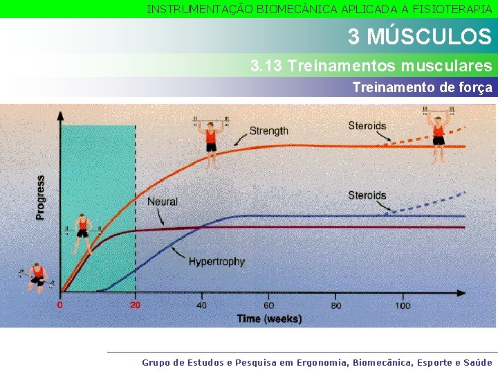 INSTRUMENTAÇÃO BIOMEC NICA APLICADA À FISIOTERAPIA 3 MÚSCULOS 3. 13 Treinamentos musculares Treinamento de