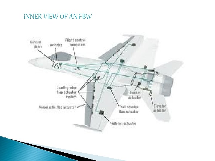 INNER VIEW OF AN FBW 