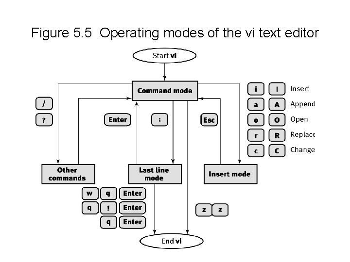 Figure 5. 5 Operating modes of the vi text editor 