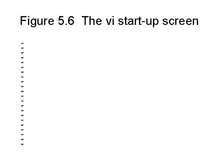 Figure 5. 6 The vi start-up screen 