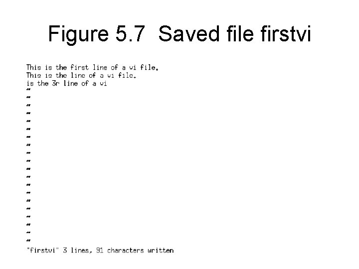 Figure 5. 7 Saved file firstvi 