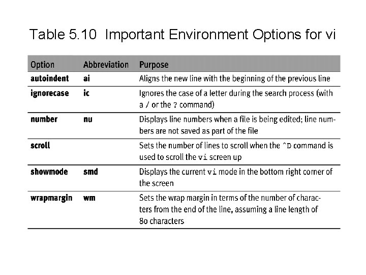 Table 5. 10 Important Environment Options for vi 