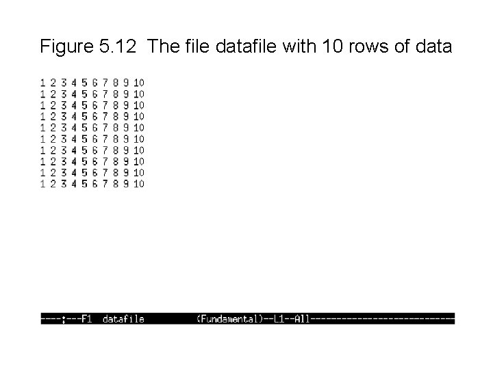 Figure 5. 12 The file datafile with 10 rows of data 