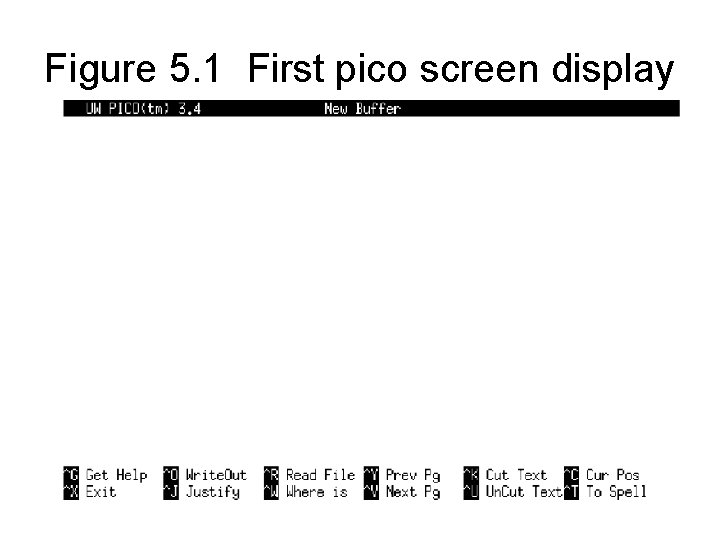 Figure 5. 1 First pico screen display 