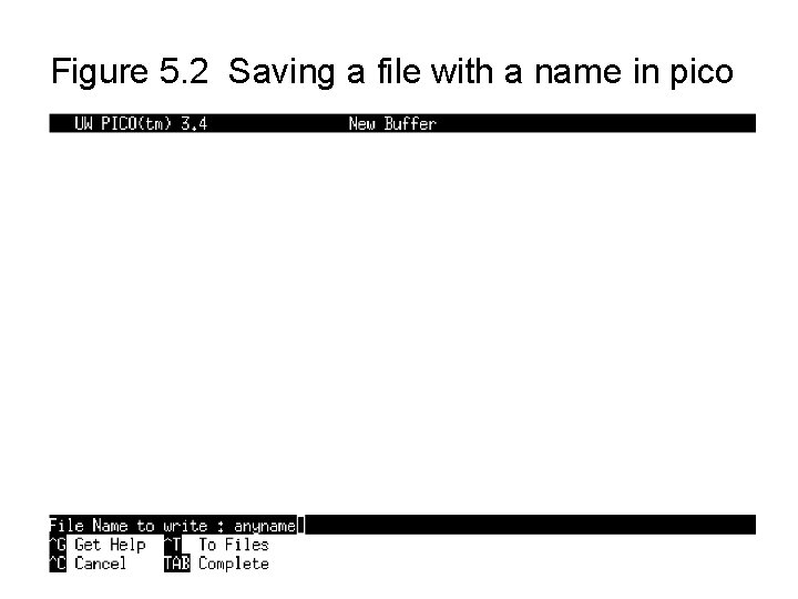 Figure 5. 2 Saving a file with a name in pico 