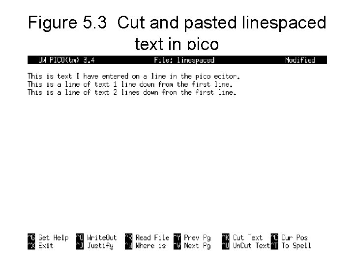 Figure 5. 3 Cut and pasted linespaced text in pico 