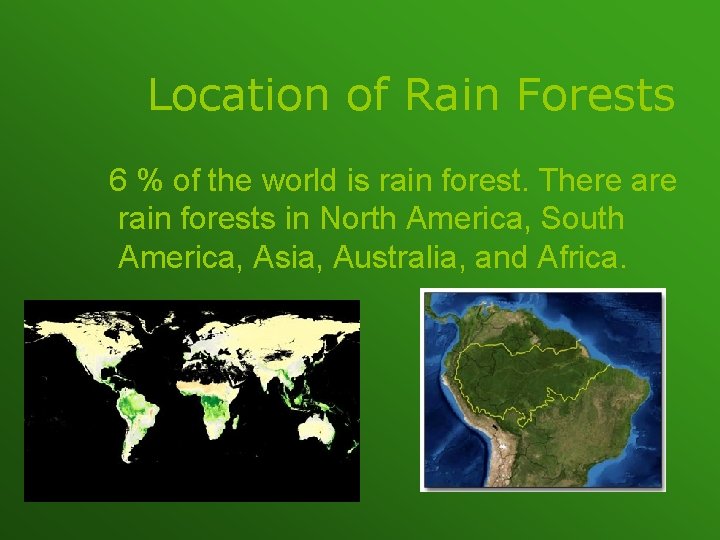 Location of Rain Forests 6 % of the world is rain forest. There are