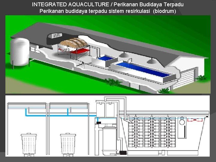 INTEGRATED AQUACULTURE / Perikanan Budidaya Terpadu Perikanan budidaya terpadu sistem resirkulasi (biodrum) 