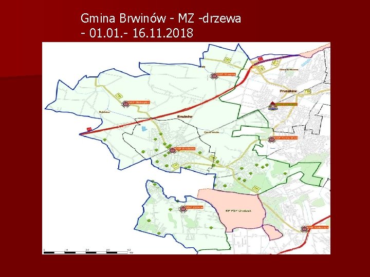 Gmina Brwinów - MZ -drzewa - 01. - 16. 11. 2018 