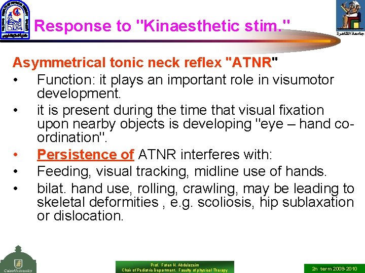 Response to "Kinaesthetic stim. " Asymmetrical tonic neck reflex "ATNR" • Function: it plays