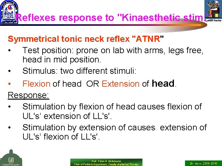 Reflexes response to "Kinaesthetic stim. " Symmetrical tonic neck reflex "ATNR" • Test position: