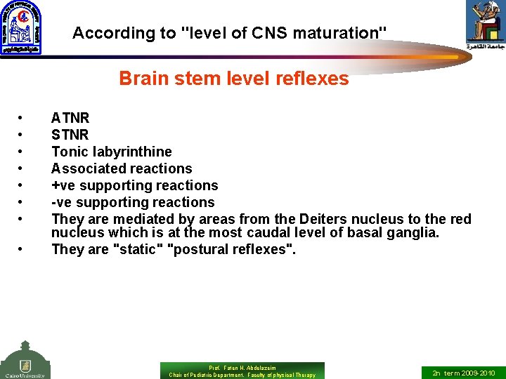 According to "level of CNS maturation" Brain stem level reflexes • • ATNR STNR