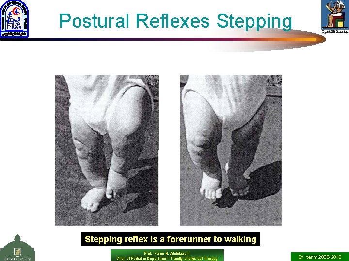Postural Reflexes Stepping reflex is a forerunner to walking Prof. Faten H. Abdelazeim Chair
