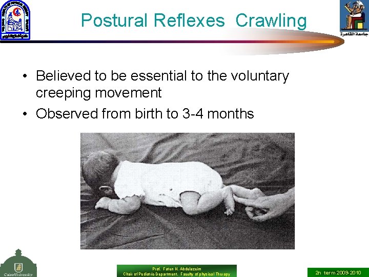 Postural Reflexes Crawling • Believed to be essential to the voluntary creeping movement •