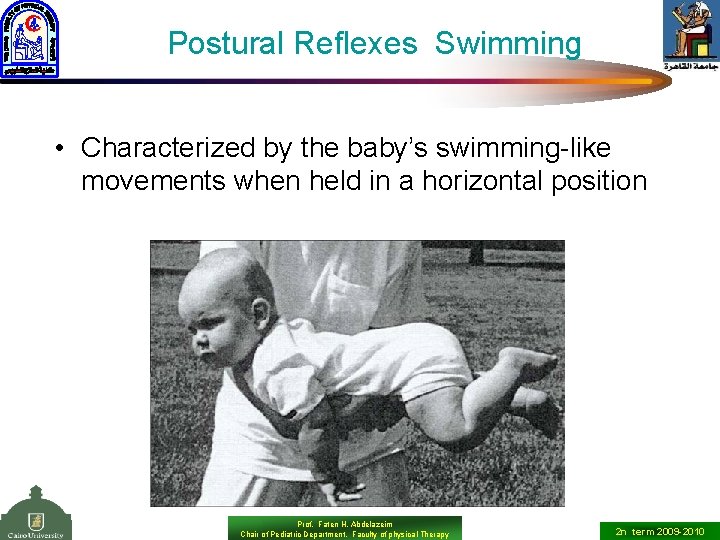 Postural Reflexes Swimming • Characterized by the baby’s swimming-like movements when held in a