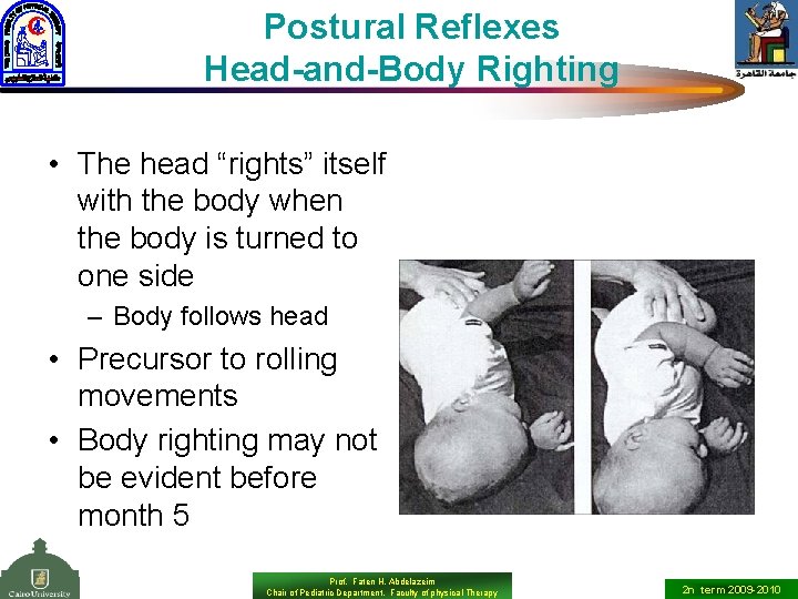 Postural Reflexes Head-and-Body Righting • The head “rights” itself with the body when the