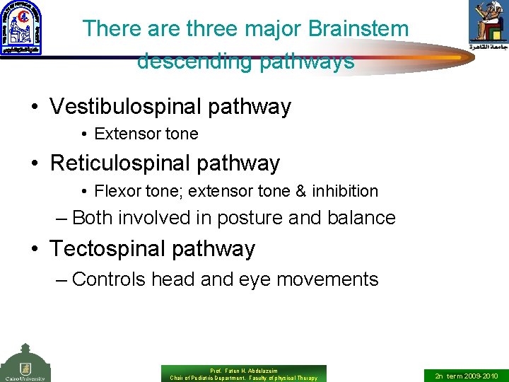 There are three major Brainstem descending pathways • Vestibulospinal pathway • Extensor tone •