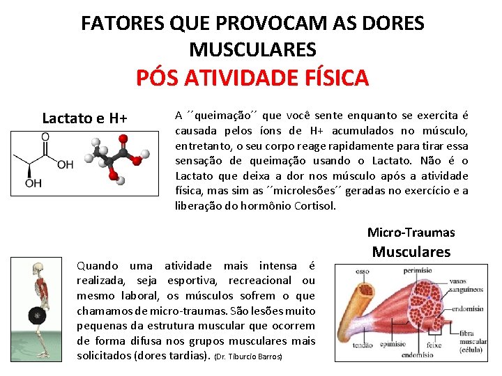 FATORES QUE PROVOCAM AS DORES MUSCULARES PÓS ATIVIDADE FÍSICA Lactato e H+ A ´´queimação´´