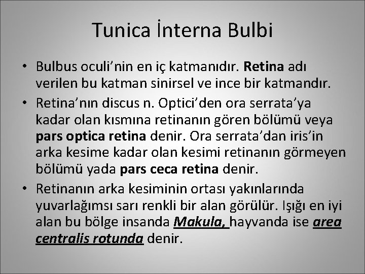 Tunica İnterna Bulbi • Bulbus oculi’nin en iç katmanıdır. Retina adı verilen bu katman