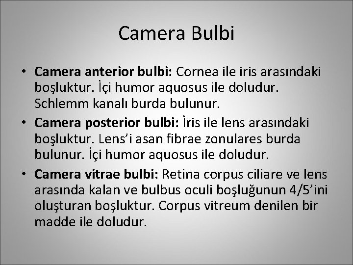Camera Bulbi • Camera anterior bulbi: Cornea ile iris arasındaki boşluktur. İçi humor aquosus