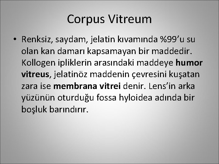 Corpus Vitreum • Renksiz, saydam, jelatin kıvamında %99’u su olan kan damarı kapsamayan bir