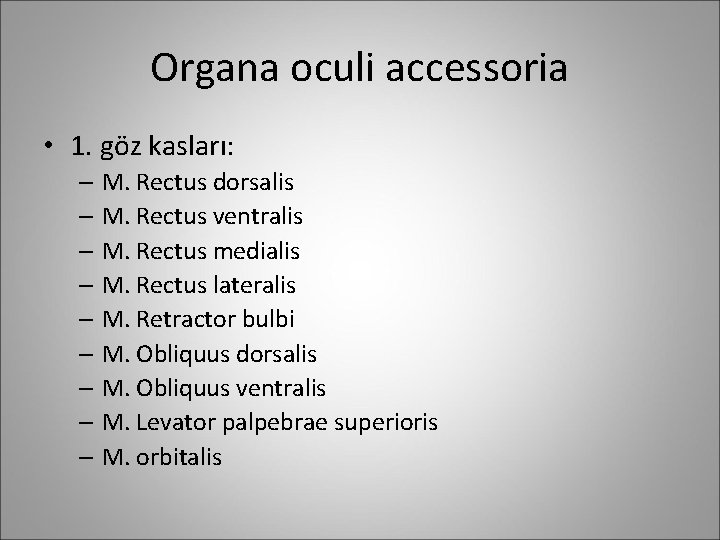 Organa oculi accessoria • 1. göz kasları: – M. Rectus dorsalis – M. Rectus