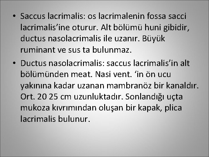  • Saccus lacrimalis: os lacrimalenin fossa sacci lacrimalis’ine oturur. Alt bölümü huni gibidir,