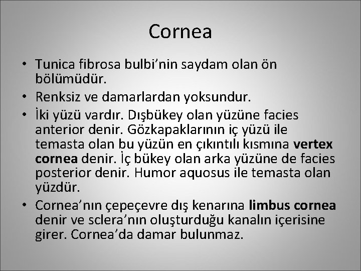 Cornea • Tunica fibrosa bulbi’nin saydam olan ön bölümüdür. • Renksiz ve damarlardan yoksundur.